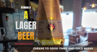 Is Modelo a Lager Beer? Uncovering the Truth