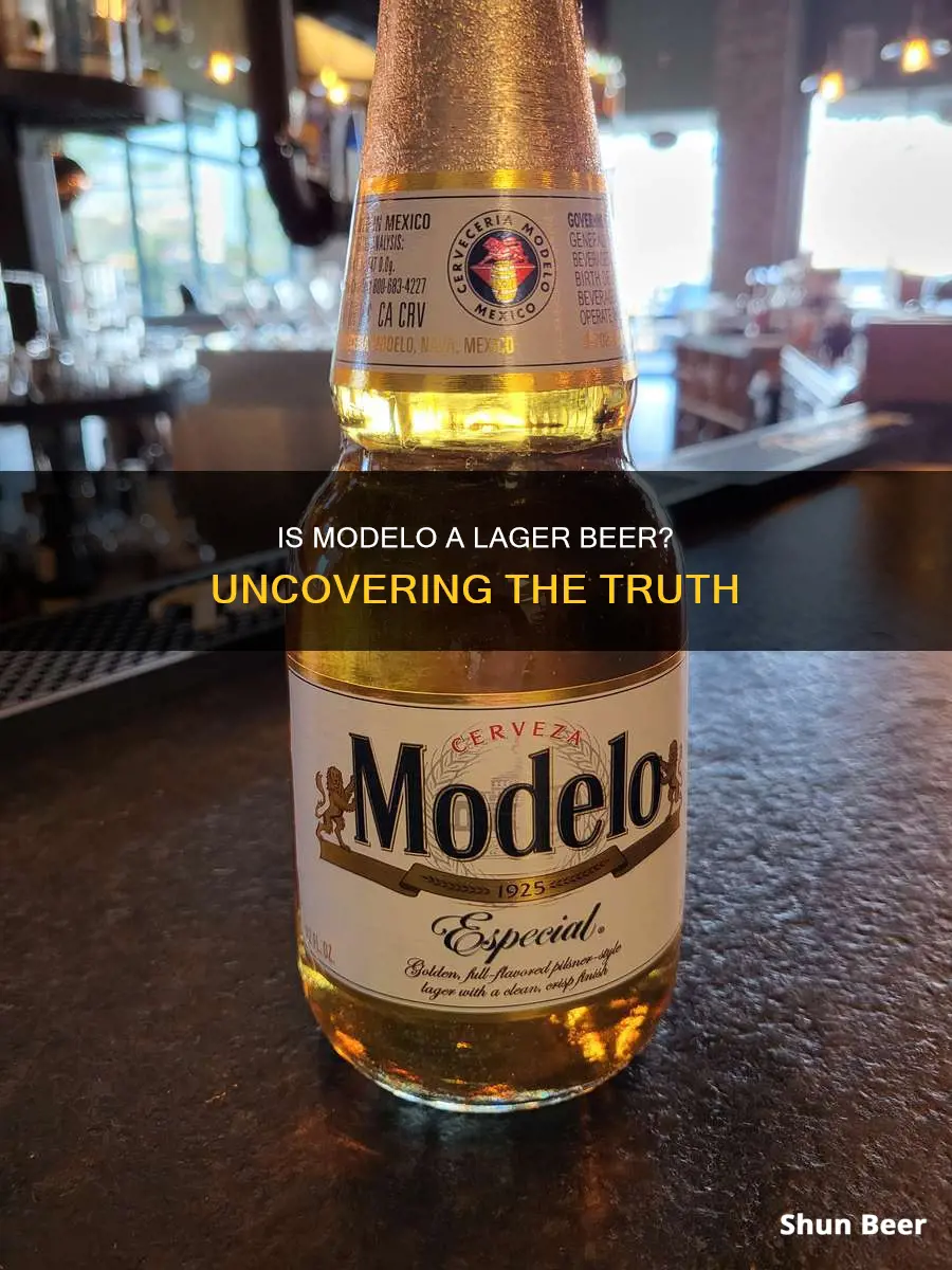 is modelo a lager beer