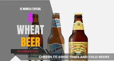 Modelo Especial's Wheat Beer Mystery: What's the Grain Truth?