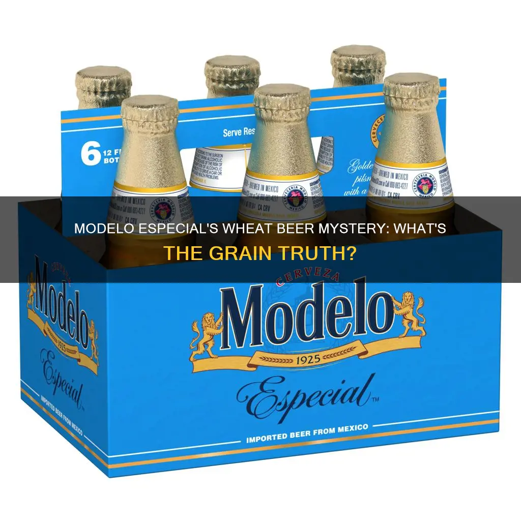 is modelo espcial a wheat beer