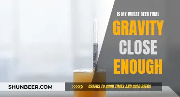 Wheat Beer Final Gravity: Close Enough or Not?