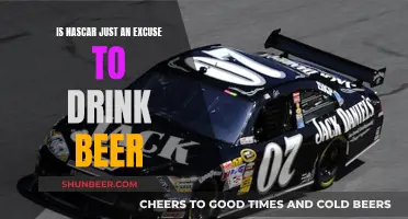 NASCAR: Beer-Fuelled Fun or Serious Sport?