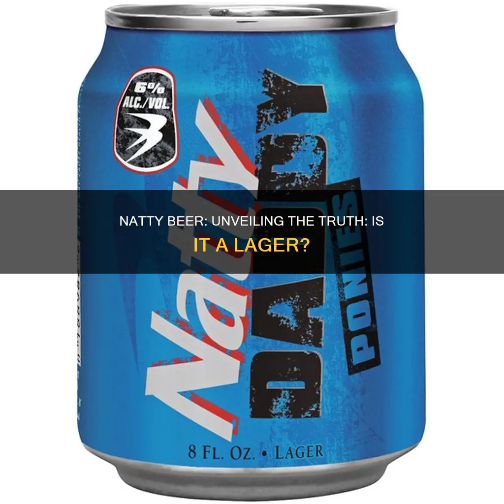 is natty beer a lager