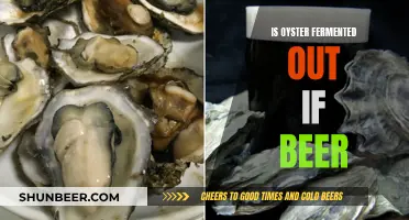 Oyster's Fermented Journey: From Sea to Beer Glass