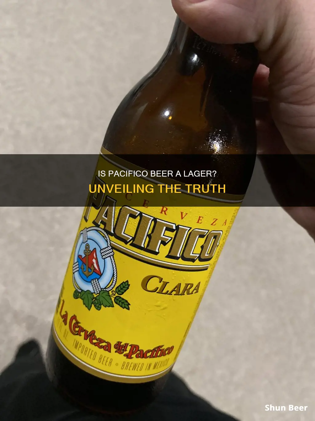 is pacifico beer a lager