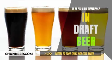 What's the Real Difference in Draft Beer?