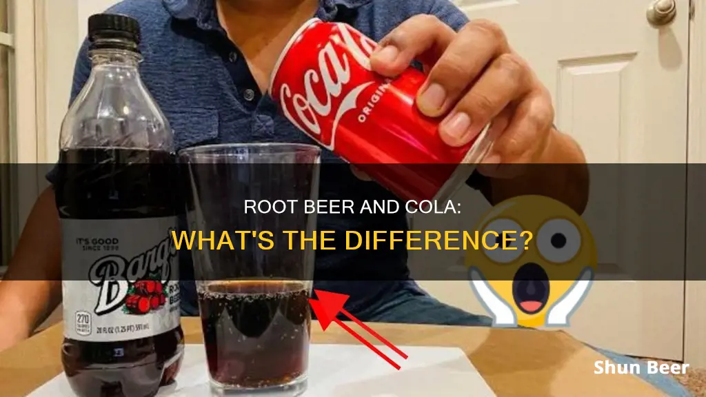 is root beer a cola drink