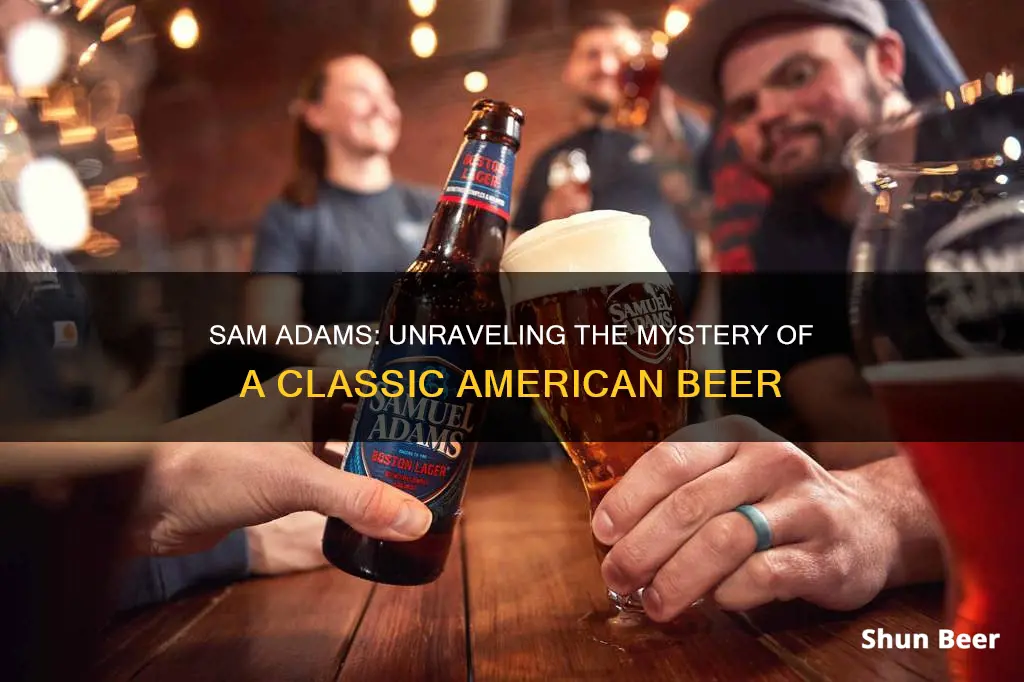 is sam adams a beer or lager