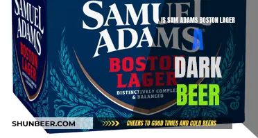 Is Sam Adams Boston Lager a Dark Beer?