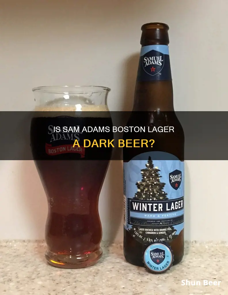 is sam adams boston lager a dark beer