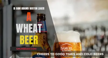 Is Sam Adams Boston Lager a Wheat Beer?