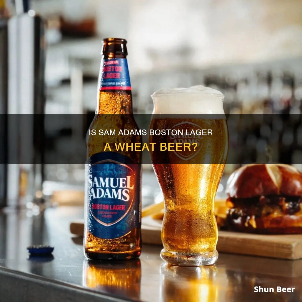 is sam adams boston lager a wheat beer