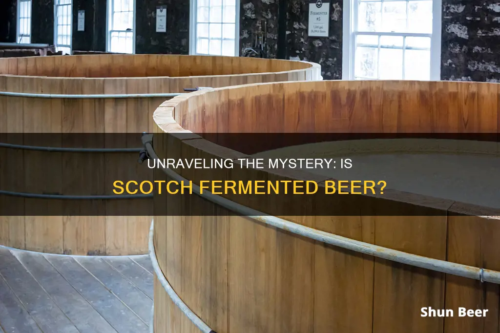 is scotch fermented beer