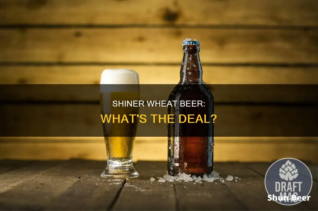 is shiner a wheat beer