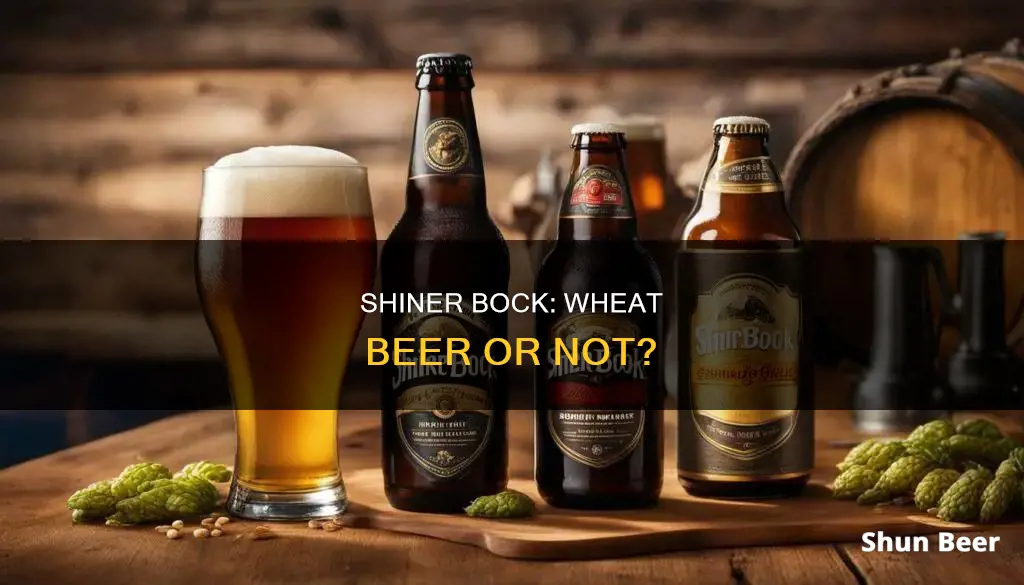 is shiner bock a wheat beer