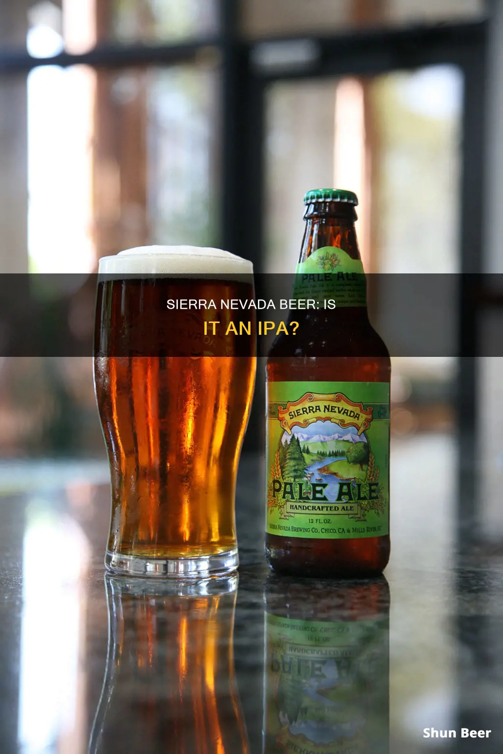 is sierra nevada beer an ipa