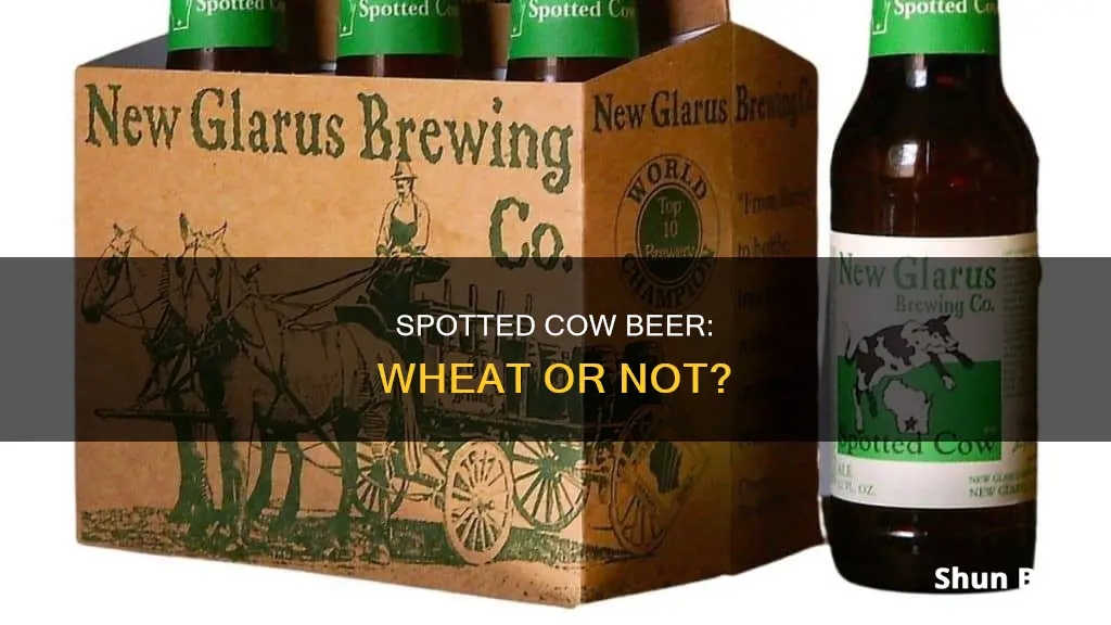 is spotted cow a wheat beer