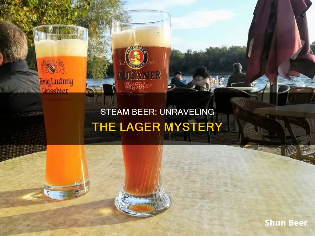 is steam beer a lager