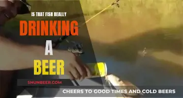 Fish Beer Drinking: Fact or Fiction?