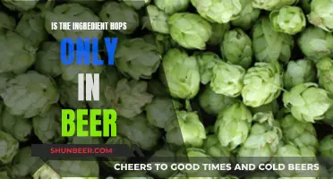 Hops in Beer: What Else Contains This Ingredient?