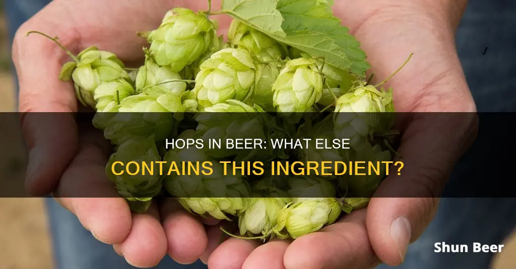 is the ingredient hops only in beer