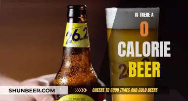 The Quest for Zero-Calorie Beer: Is It Possible?