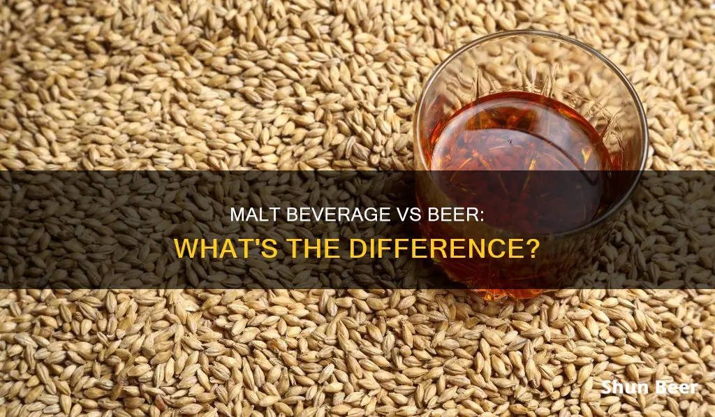 is there a difference between malt beverage and beer