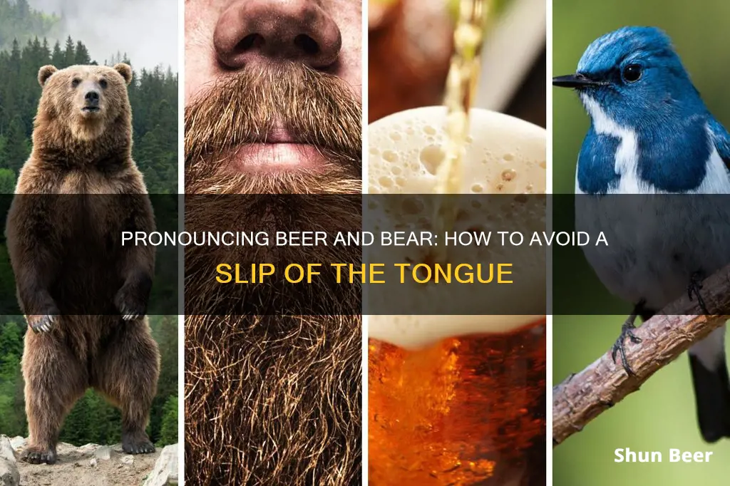 is there a difference in pronounciation of beer and bear