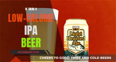 Low-Calorie IPAs: Are They Worth the Hype?