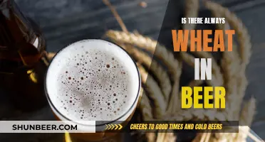 Wheat in Beer: What's the Deal?