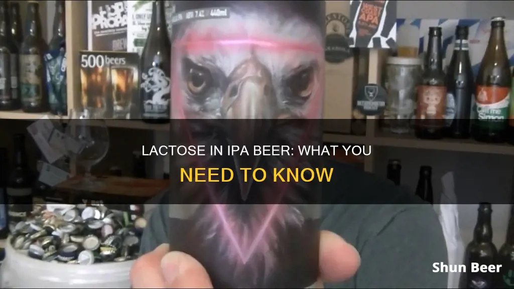 is there lactose in ipa beer