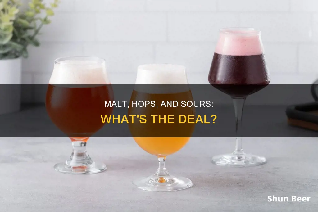 is there malts or hops in a sour beer