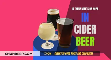 Malt, Hops, and Cider: What's in Your Beer?