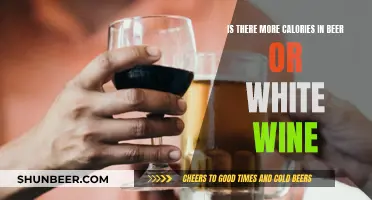 Calories in Beer vs. Wine: Which Has More?