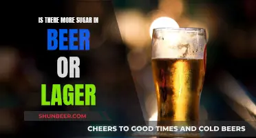 Beer vs Lager: Which Has More Sugar?