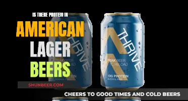 Uncovering the Protein Mystery: American Lager's Surprising Secret