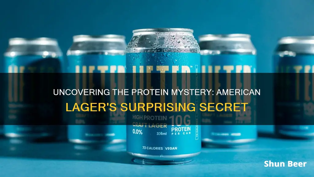 is there protein in american lager beers