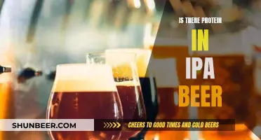 Protein in IPA Beer: Fact or Fitness Fiction?