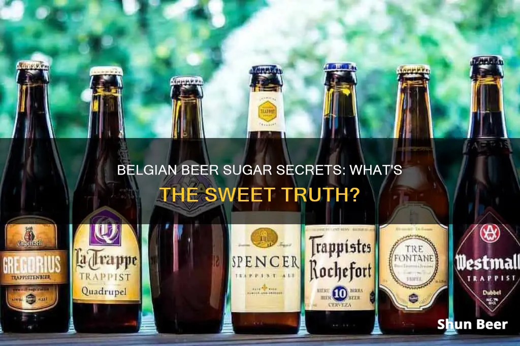 is there sugar in all belgium beer