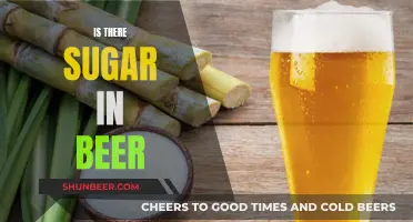 Beer's Sweet Secret: Sugar Content Explored