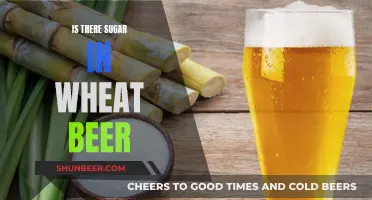 Wheat Beer's Sweet Secret: Sugar Content Explained