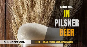 The Mystery of Wheat in Pilsner Beer