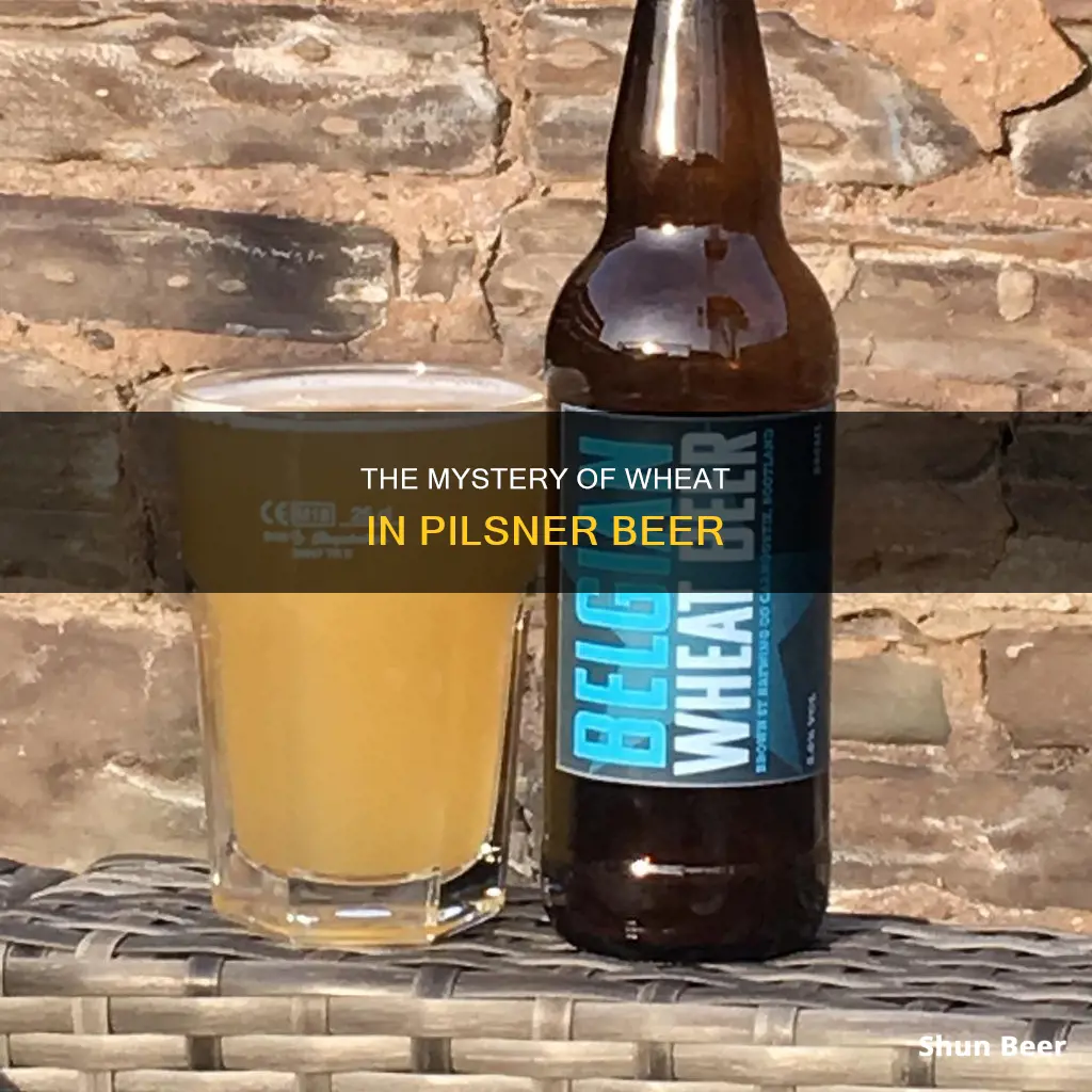 is there wheat in pilsner beer