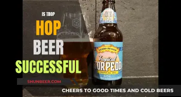 The Success Story of Tropical Hop Beers