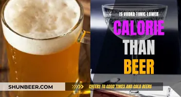 Vodka Tonic vs Beer: Which Drink is More Diet-Friendly?