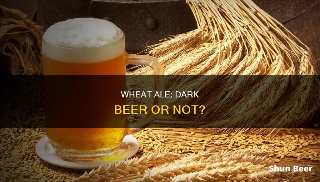 is wheat ale a dark beer