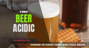 Wheat Beer's Acidity: What's the Truth?