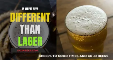 Wheat Beer vs Lager: What's the Difference?