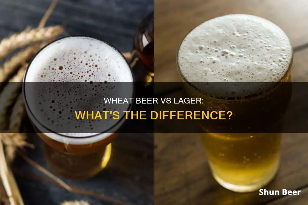 is wheat beer different than lager