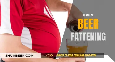 Wheat Beer and Weight Gain: What's the Truth?